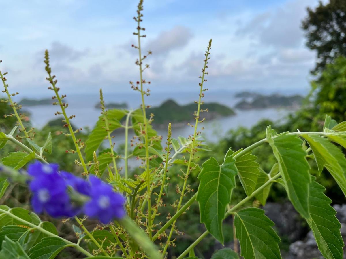 Cat Ba Rosalia Hotel Dong Khe Sau Extérieur photo